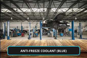 ANTI-FREEZE COOLANT (BLUE)